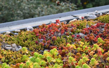 the cost of Lower Mickletown green roof installation